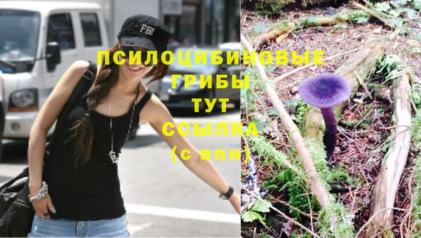 кокс Абинск