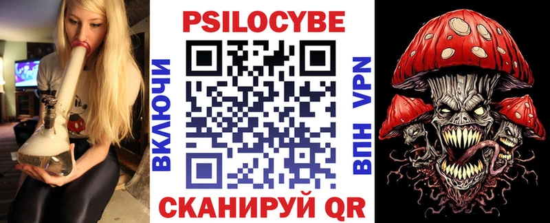 Псилоцибиновые грибы Psilocybe  Оренбург 