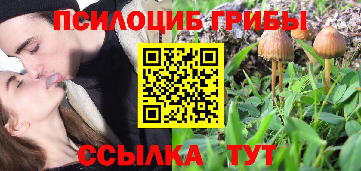 Псилоцибиновые грибы GOLDEN TEACHER Оренбург