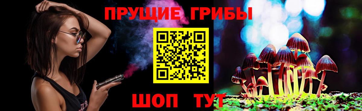 Оренбург  Псилоцибиновые грибы прущие грибы  где найти наркотики  Вход с VPN 