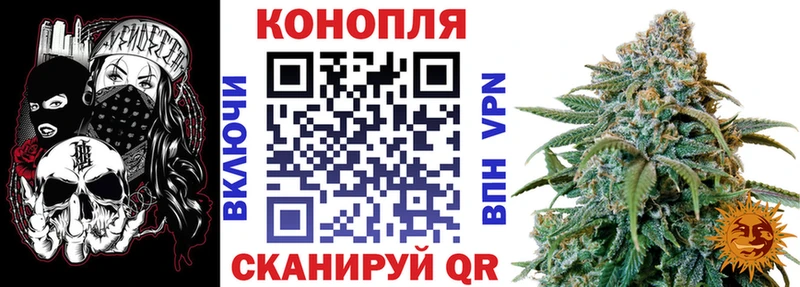 Бошки Шишки планчик  Оренбург 